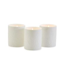 Load image into Gallery viewer, Herbal Notes Scented Candle with Wooden Lid