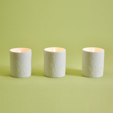 Load image into Gallery viewer, Herbal Notes Scented Candle with Wooden Lid