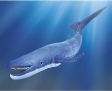 Load image into Gallery viewer, Blue Whale Hand Puppet