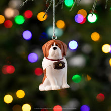 Load image into Gallery viewer, The Elf on the Shelf Ornament Collection
