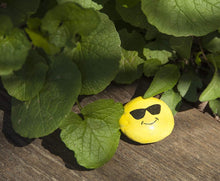 Load image into Gallery viewer, Hide and Seek Rock Painting Kit