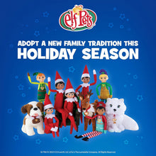 Load image into Gallery viewer, The Elf on the Shelf Elf Pets Christmas Sweater Set