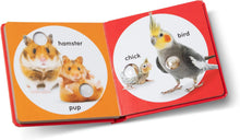 Load image into Gallery viewer, Poke-a-Dot: Pet Families