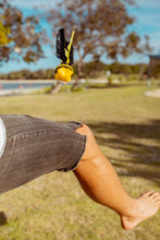 Load image into Gallery viewer, VOLI Paddle Game