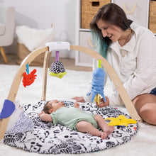 Load image into Gallery viewer, Ocean Easy-Fold Wooden Play Gym