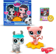 Load image into Gallery viewer, Littlest Pet Shop Pet Pair 2 Pack Assortment