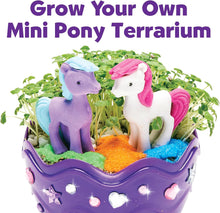 Load image into Gallery viewer, Pony Terrarium Kit
