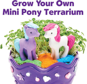 Pony Terrarium Kit