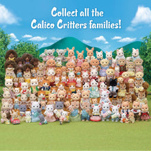 Load image into Gallery viewer, Calico Critters Koala Family