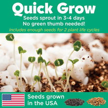Load image into Gallery viewer, Grow 'N Glow Terrarium Kit for Kids