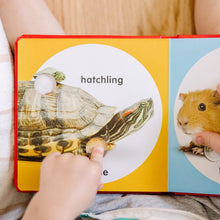Load image into Gallery viewer, Poke-a-Dot: Pet Families