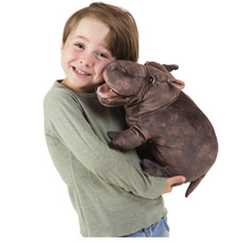 Load image into Gallery viewer, Folkmanis Baby Hippo Puppet