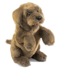 Load image into Gallery viewer, Folkmanis Sitting Dog Puppet