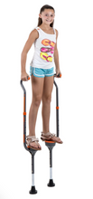 Load image into Gallery viewer, Flybar Maverick Stilts