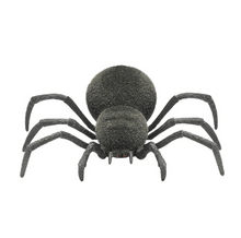Load image into Gallery viewer, Spooky Spider
