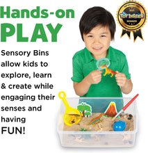 Load image into Gallery viewer, Sensory Bin: Dinosaur Dig