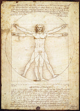 Load image into Gallery viewer, The Vitruvian Man 1,000PC Puzzle
