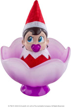 Load image into Gallery viewer, Elf on the Shelf Frost Pips™ Mini Blooms Elf Baby (4 Options)
