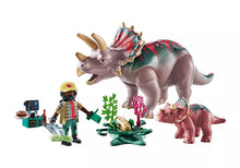 Load image into Gallery viewer, Playmobil Triceratops Family
