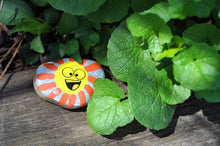 Load image into Gallery viewer, Hide and Seek Rock Painting Kit
