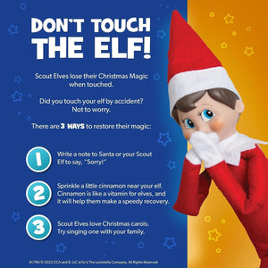 The Elf on the Shelf: A Christmas Tradition (I'm a BOY)