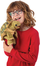 Load image into Gallery viewer, Standing Tortoise
