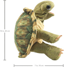 Load image into Gallery viewer, Standing Tortoise
