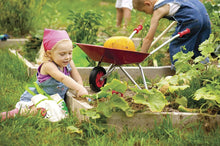 Load image into Gallery viewer, Kids 32&quot; Wheelbarrow
