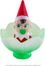 Load image into Gallery viewer, Elf on the Shelf Frost Pips™ Mini Blooms Elf Baby (4 Options)
