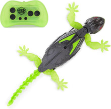 Load image into Gallery viewer, Wall Crawler Gecko
