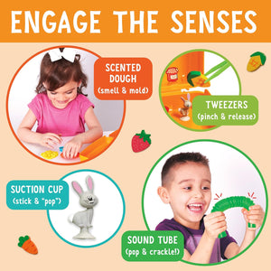 Sensory On The Go: Farmers Market