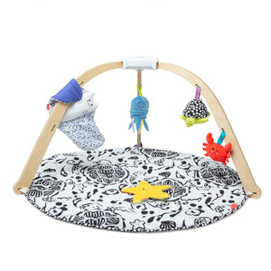 Ocean Easy-Fold Wooden Play Gym