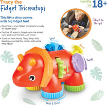 Load image into Gallery viewer, Tracy The Fidget Triceratops
