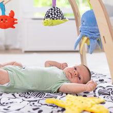 Load image into Gallery viewer, Ocean Easy-Fold Wooden Play Gym

