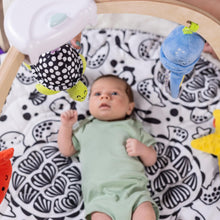 Load image into Gallery viewer, Ocean Easy-Fold Wooden Play Gym
