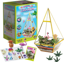 Load image into Gallery viewer, Tropical Terrarium
