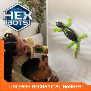 Wall Crawler Gecko