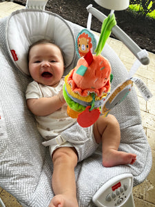 Ice Cream Take-Along Clip-On Infant Toy