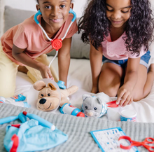 Load image into Gallery viewer, Examine &amp; Treat Pet Vet Play Set
