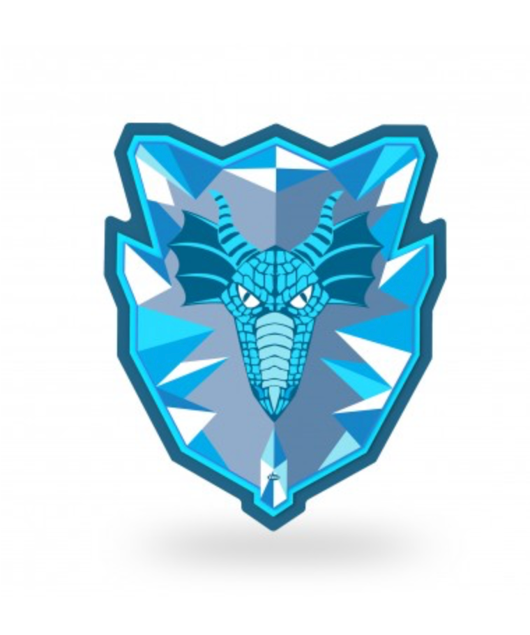 Ice shield