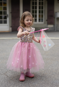 A Star is Born Sequins Dress