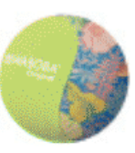 Load image into Gallery viewer, Waboba Original - Tropical Edition
