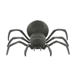Spooky Spider