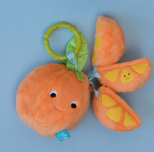 Load image into Gallery viewer, Mini-Apple Farm Orange
