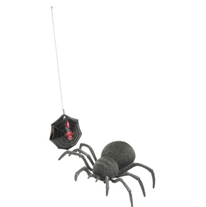 Spooky Spider