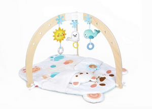 Snuggle Bear Activity Gym