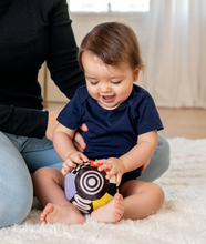 Load image into Gallery viewer, Wimmer Sensory Ball
