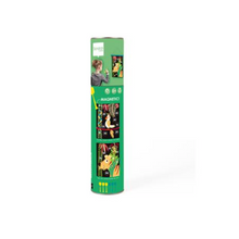 Load image into Gallery viewer, Magnetic Darts Tropical Jungle
