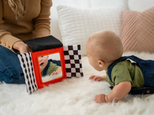 Load image into Gallery viewer, Wimmer Peek &amp; Go Mirror
