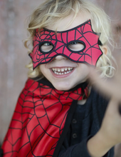 Load image into Gallery viewer, Spider Bat Reversible Cape and Mask
